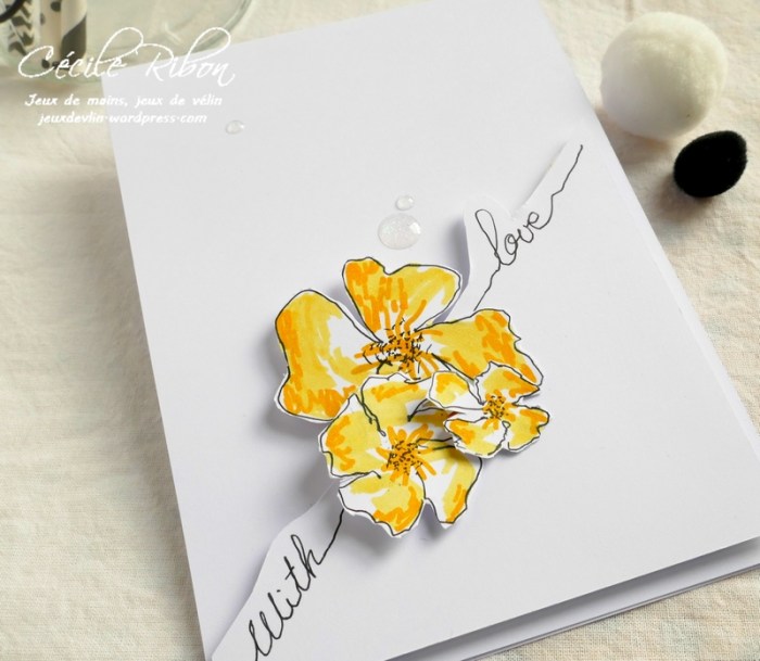 Carte CTS316 - P1040246