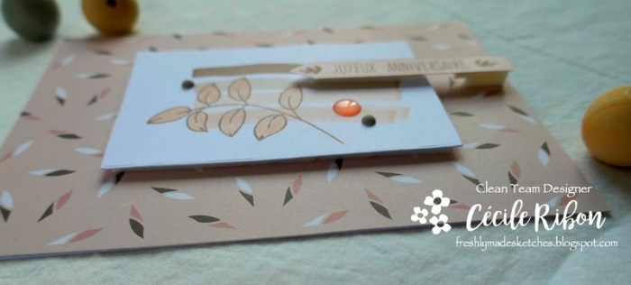 Carte FMS382 - P1030857