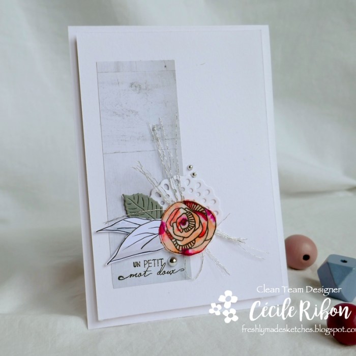 Carte FMS385 - P1040575