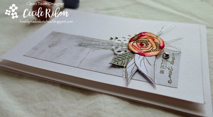 Carte FMS385 - P1040577