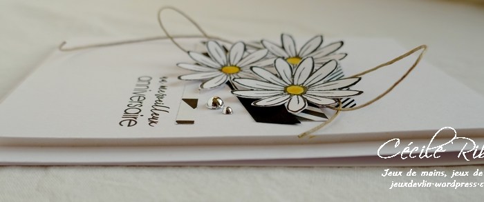 Des marguerites d&rsquo;octobre