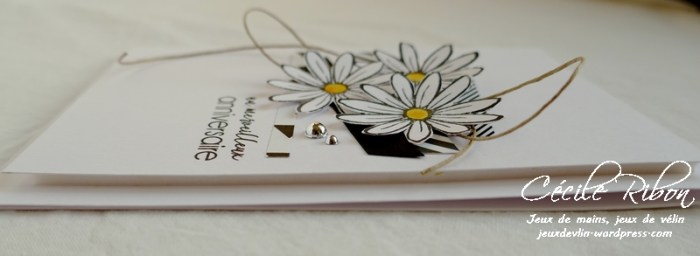 Carte Gwen - P1000326