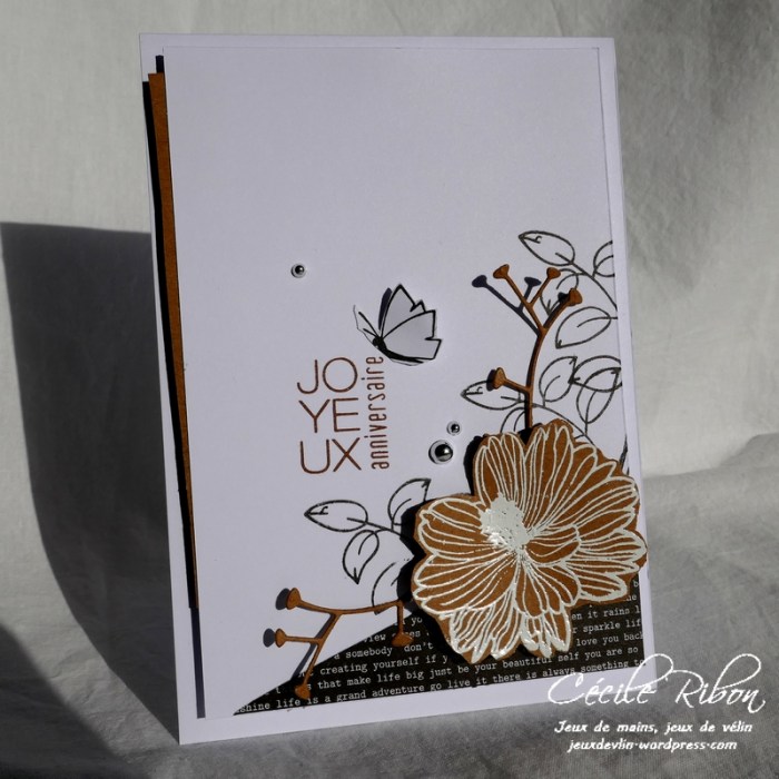 Carte Kcendres - P1000515