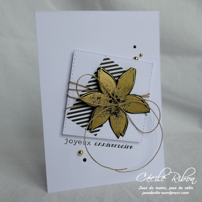 Carte Vicky - P1010026