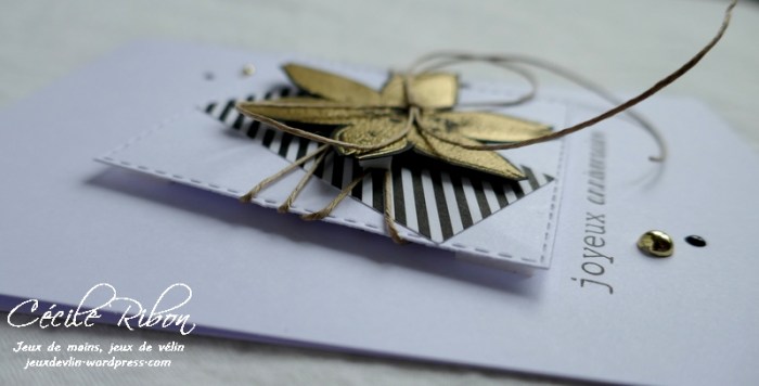 Carte Vicky - P1010037