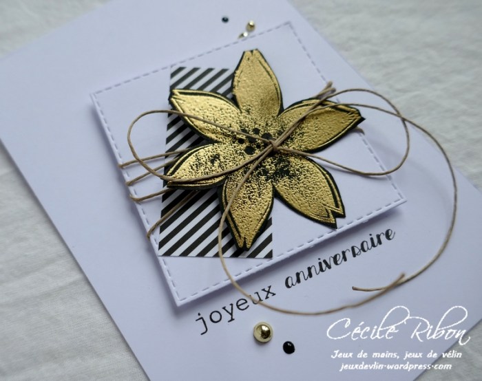 Carte Vicky - P1010045