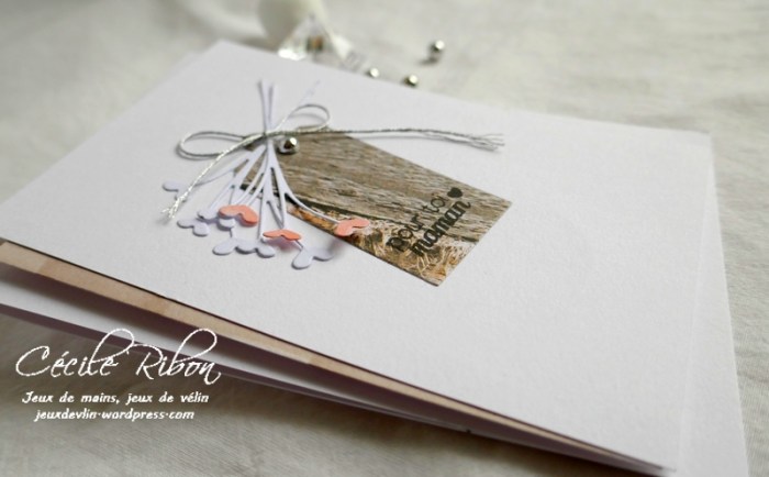 Carte CBBB9 - P1040840