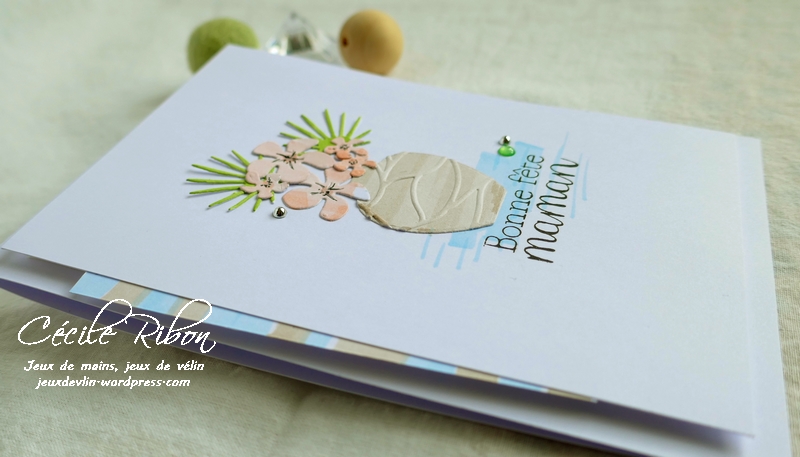 Carte CTD542 - P1040793