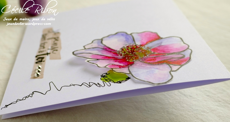 carte CTD545 - P1050554