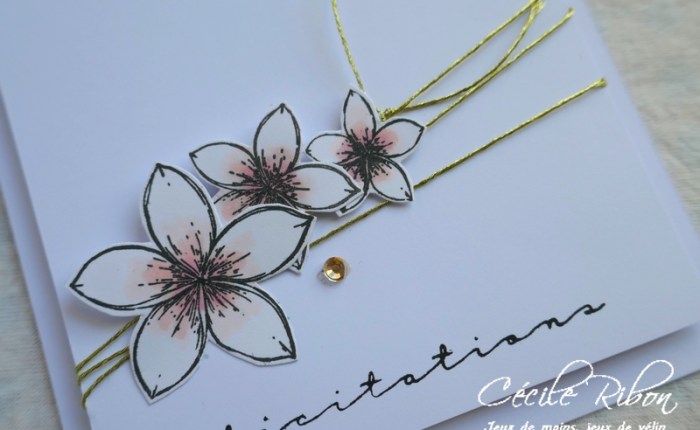 CAS(E) This Sketch&nbsp;#319