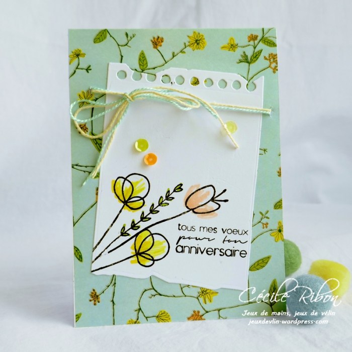 Carte CTS322 - P1050677