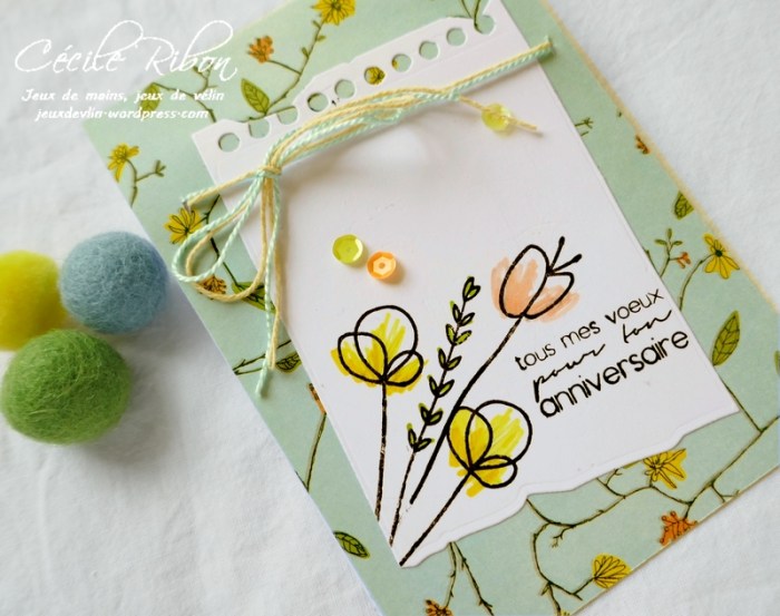 Carte CTS322 - P1050692