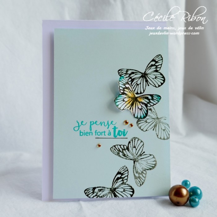 Carte CTS323 - P1050896