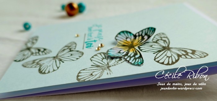 Carte CTS323 - P1050902