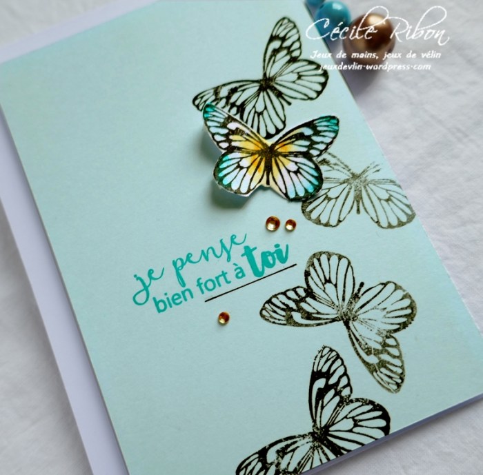 Carte CTS323 - P1050909