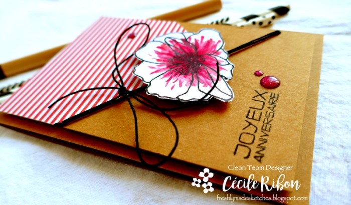 Carte FMS386 - P1040759