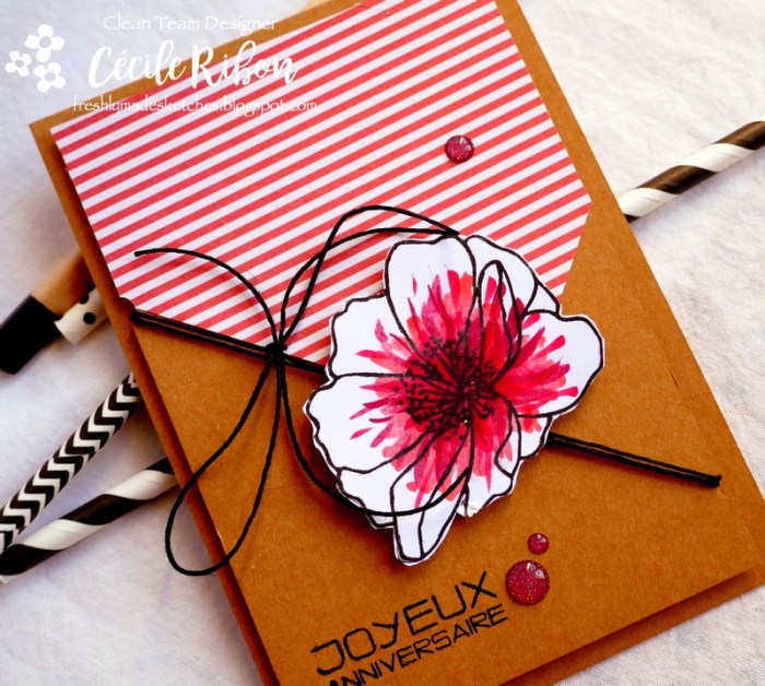 Carte FMS386 - P1040771