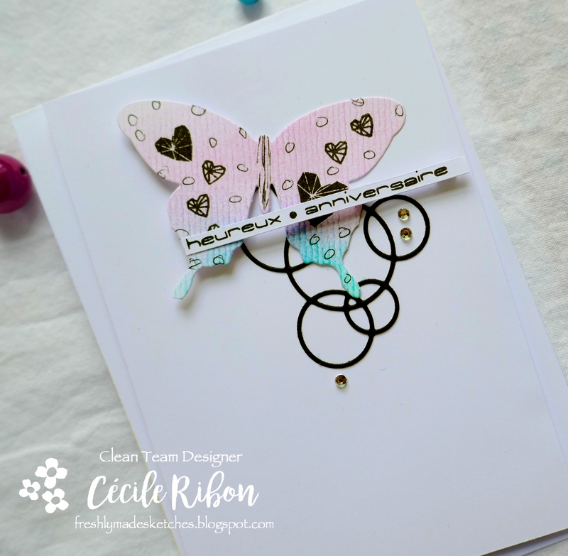 Carte FMS389 - P1050652
