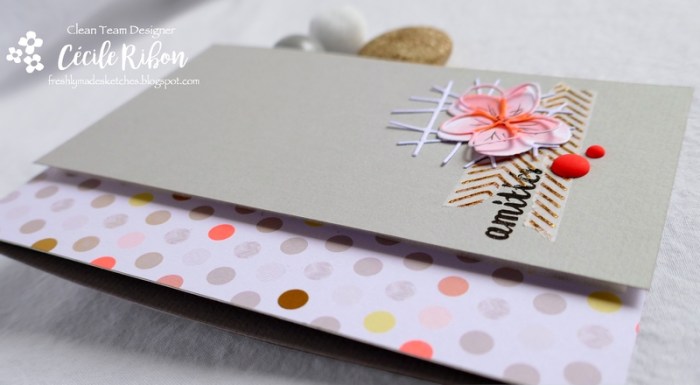 Carte FMS390 - P1050804