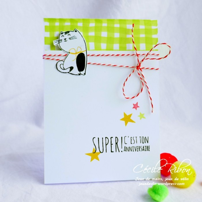 Carte FUSION48 - P1050694