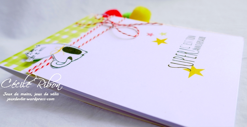 carte FUSION48 - P1050710