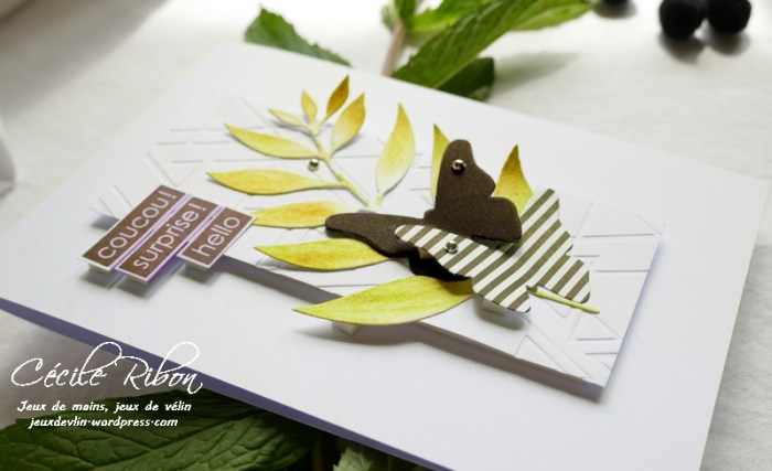 Carte LS87 - P1050054