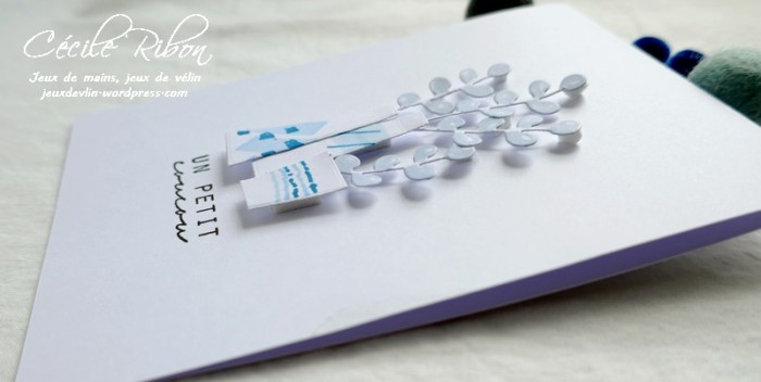 Carte LS88 - P1050127