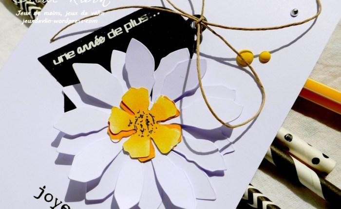 Carte Maniak#200 : La grande carterie de printemps&nbsp;#3