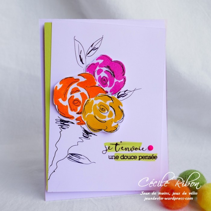 Carte CTD547 - P1060429