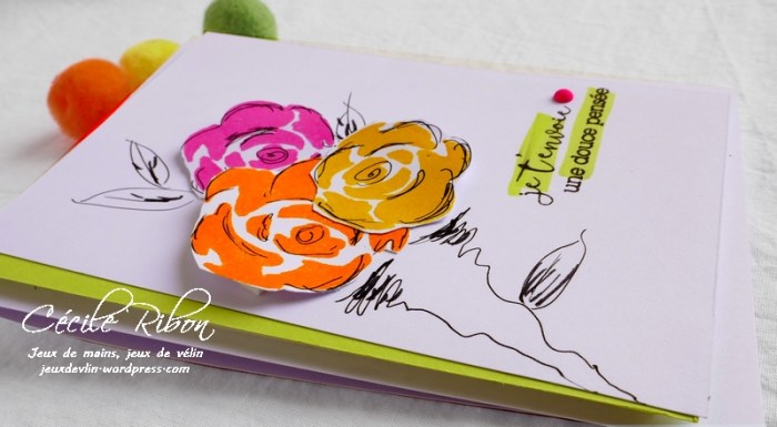 Carte CTD547 - P1060444