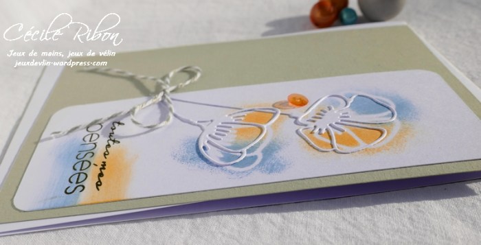 Carte CTD549 - P1060909