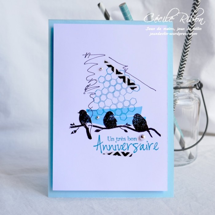 Carte CTS324 - P1060102