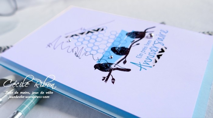 Carte CTS324 - P1060110