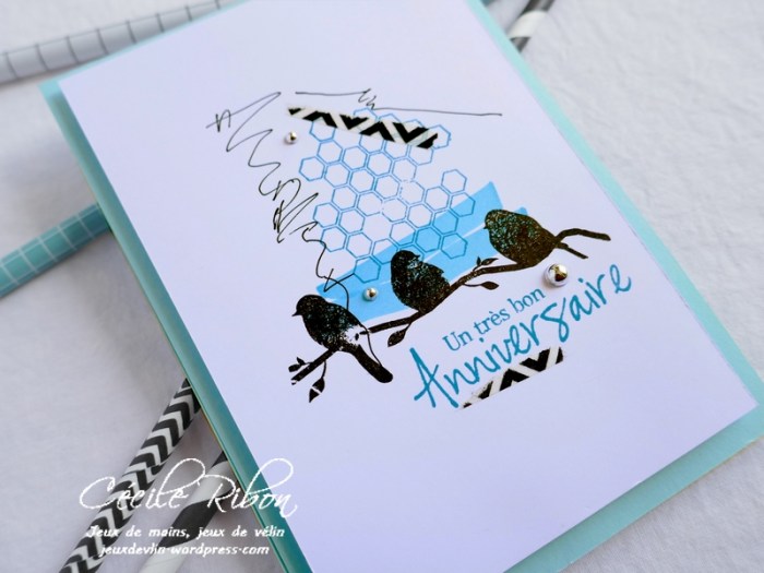 Carte CTS324 - P1060116