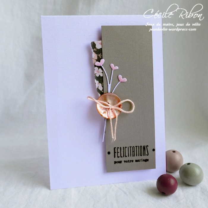 Carte CTS327 - P1060777