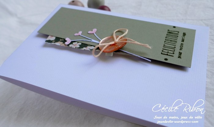 Carte CTS327 - P1060778