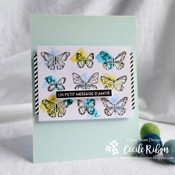 Carte FMS391 - P1050857