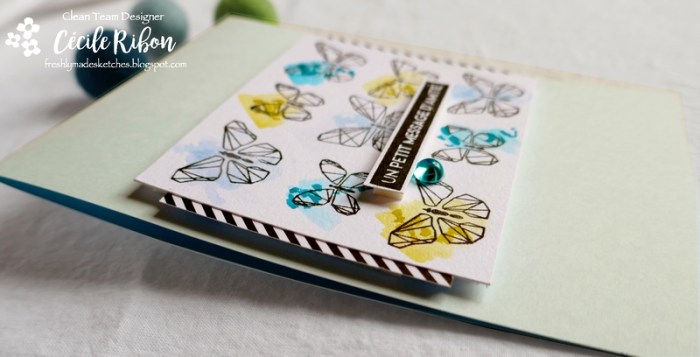 Carte FMS391 - P1050863