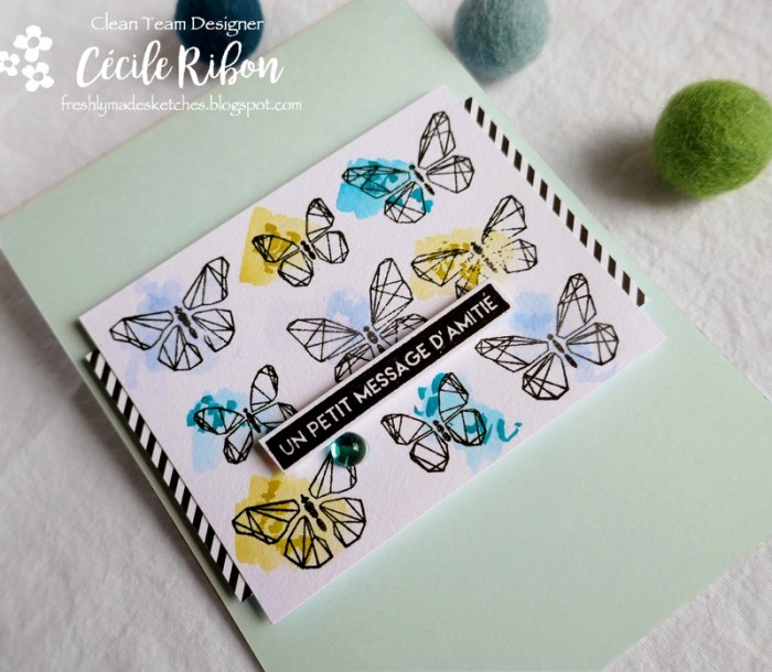 Carte FMS391 - P1050876