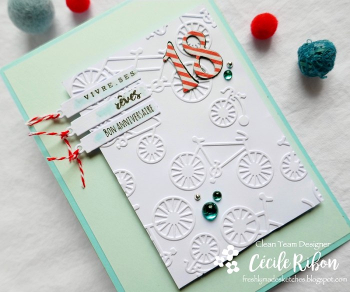 Carte FMS392 - P1060052