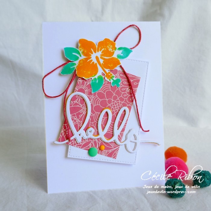 Carte FUSION50 - P1060499