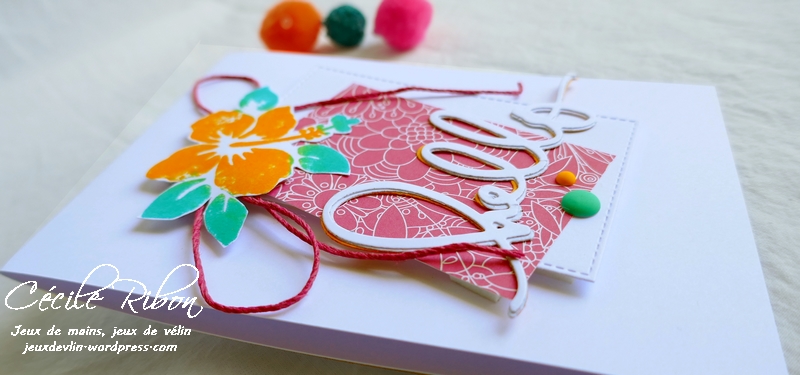 Carte FUSION50 - P1060507