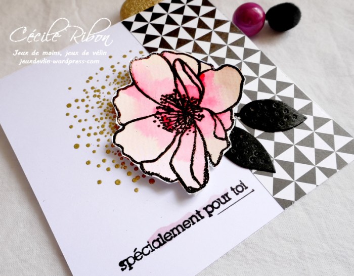 Carte CTD551 - P1070269