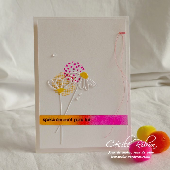 carte CTD553 - P1070763