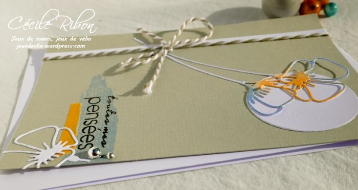 Carte CTS328 - P1060922