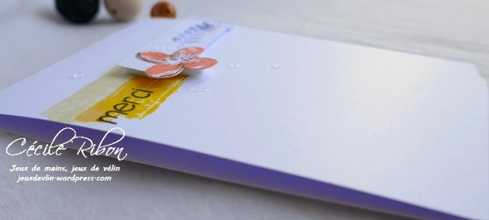 Carte CTS329b - P1070123