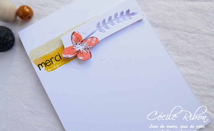 CAS(E) This Sketch&nbsp;#329