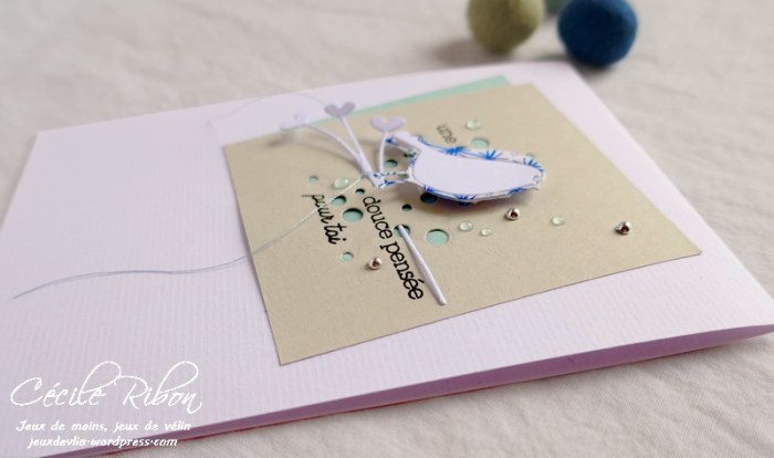 Carte CTS330 - P1070400