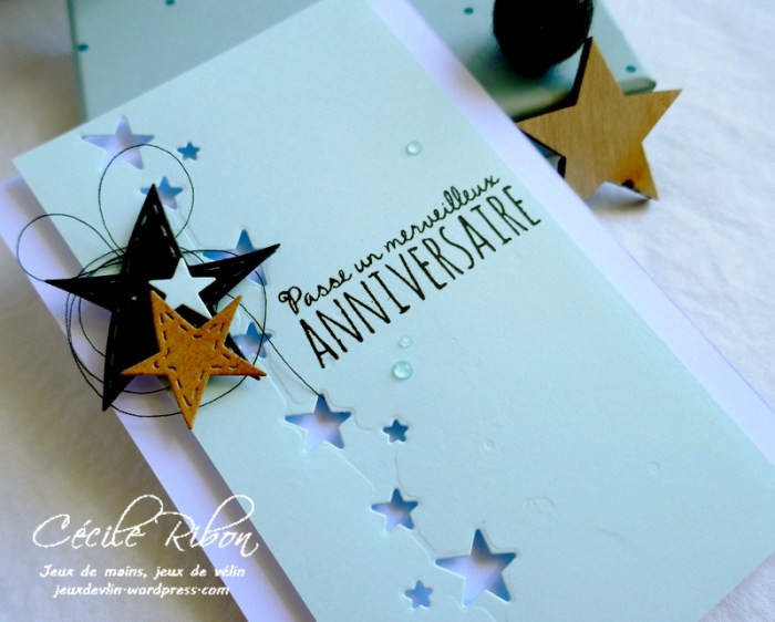 carte CTS332 - P1070838