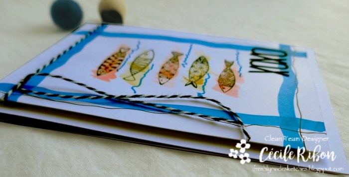 Carte FMS396 - P1070193